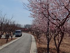 -东郊湿地公园