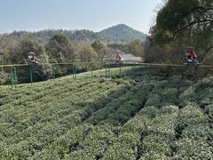 -杭州少年儿童公园