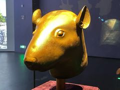 -广西壮族自治区博物馆