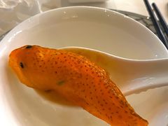 东星斑鱼饺-美心·翠园(港汇恒隆广场店)