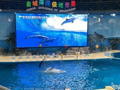 -泉城欧乐堡海洋极地世界