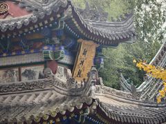 -罔极寺