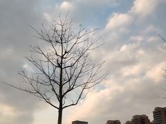 -精精化州糖水(港澳商业城店)