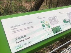 -西湖风景区-江洋畈生态公园