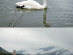 -大九湖