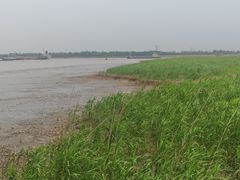 -吴淞炮台湾湿地森林公园烧烤区