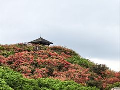 -大围山国家森林公园