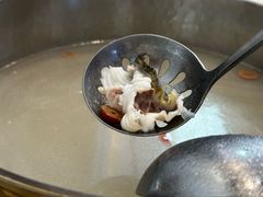 -港升鱼师傅·中山脆肉鲩