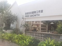-自由生长植物工作室(深港花卉中心店)
