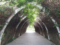 -天津东丽湖风景区