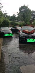 -蚂蚁婚车