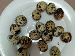 -康陵正德春饼宴26号