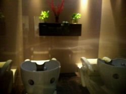 -史云逊养发护发