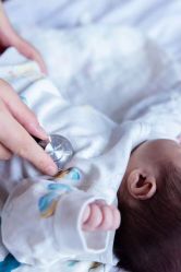 -海豚湾高端月子会所(黄浦店)