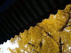 -承恩寺