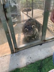 -萌宠亲子动物乐园(槐房万达店)