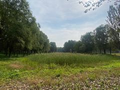 -东郊湿地公园