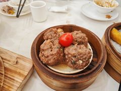 新会陈皮牛肉丸-合晋食府(广州合晋帝苑酒店)