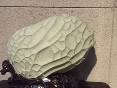 -中华赏石园