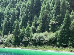 -武陵山森林公园