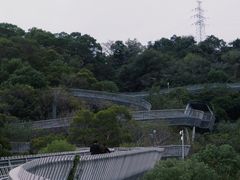 -福道