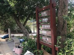 -扬美古镇景区