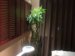 -菩提慧宾养生堂(梦幻亮点世界公园店)