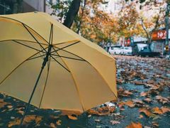 -里岛烤鱼(东港凯虹广场店)