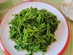 -华龙特色大骨鸡农家菜馆