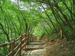 -黑龙潭风景区