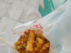 -周小亮丁家坡洋芋(全国总店)