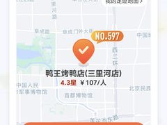 -鸭王烤鸭店(三里河店)
