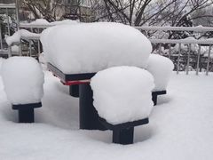 -鸽子窝(宋庄店)