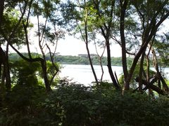 -华侨城湿地公园