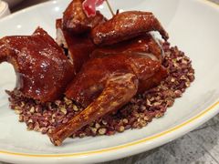 大红袍乳鸽王-朱记乳鸽王·非遗石岐乳鸽·全鸽宴(大兴旗舰店)