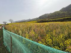 -沣峪口