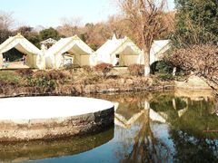 -白马涧龙池景区