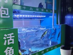 -全乐鱼馆·淳牌有机鱼直营店