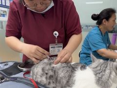 -宠颐生中康贝怡动物医院