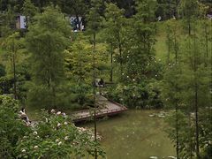 -云溪植物园