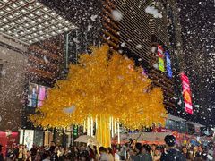 -友谊阳光城(金贸街道店)