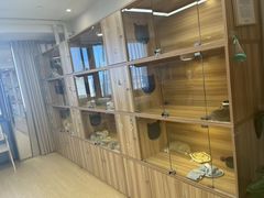 -猫十亿·布偶金渐层·曼基康矮脚猫舍(青年路店)