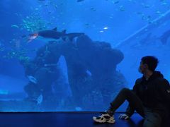 -成都浩海立方海洋公园