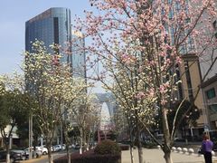 -橙天嘉禾影城(苏州印象城店)