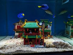 -上海海昌海洋公园