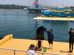 -秦皇岛乐岛海洋王国