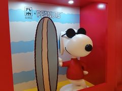 -九木杂物社(中心店)