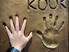 -line friends(明洞旗舰店)