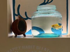 -海比甜店·意式手工冰激淋happy habit gelato