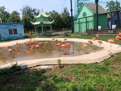 -秦皇岛野生动物园